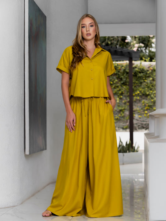 Flared high waisted pant