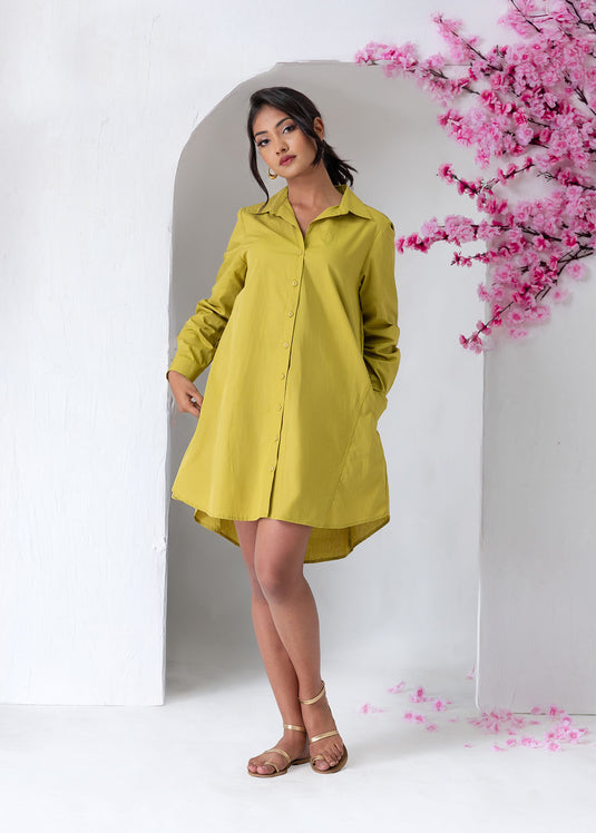 Long Sleeve Trapeze Dress