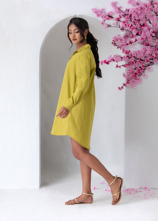 Long Sleeve Trapeze Dress