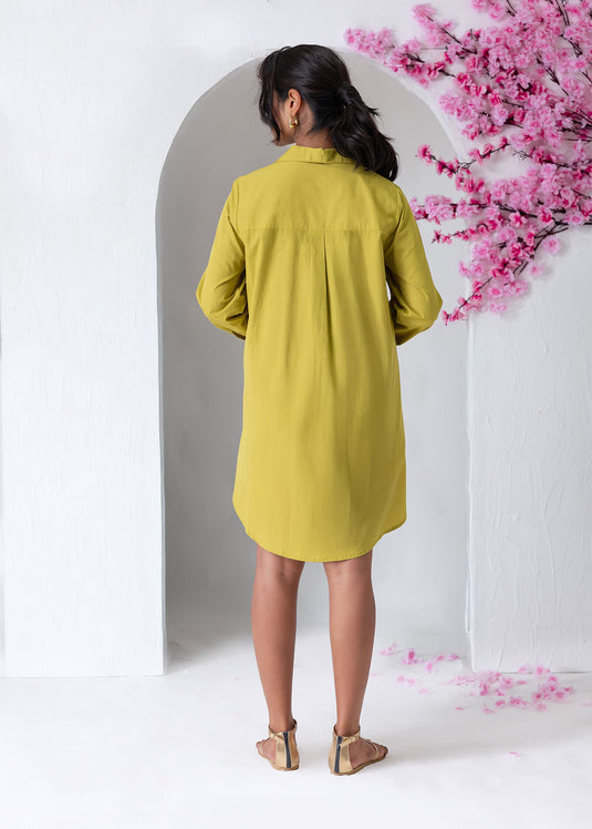 Long Sleeve Trapeze Dress