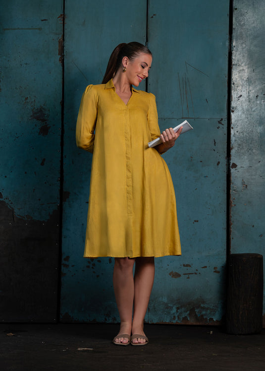 Trapeze Dress With Collar