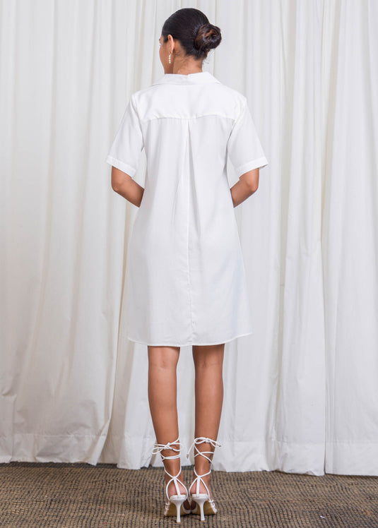 V Neck Trapeze Dress With Collar