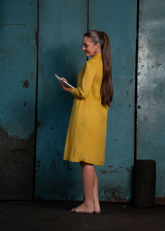 Trapeze Dress With Collar