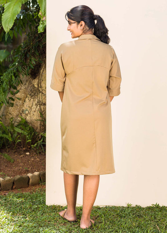 Collar Detailed Button Down Shirt DresS