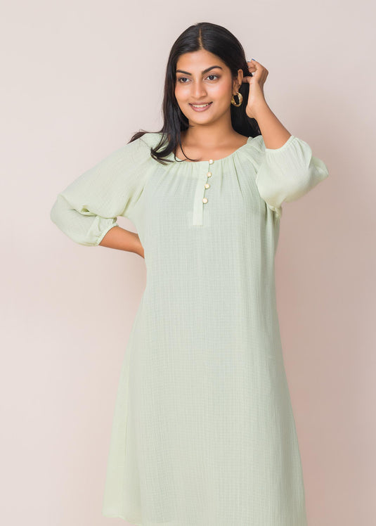 Front button detailed flared dress