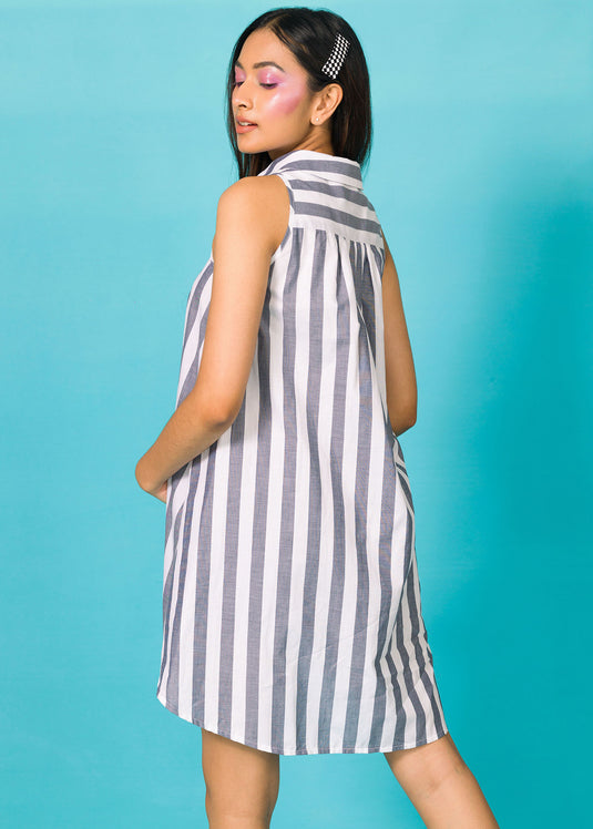 A-Line Flared Dress